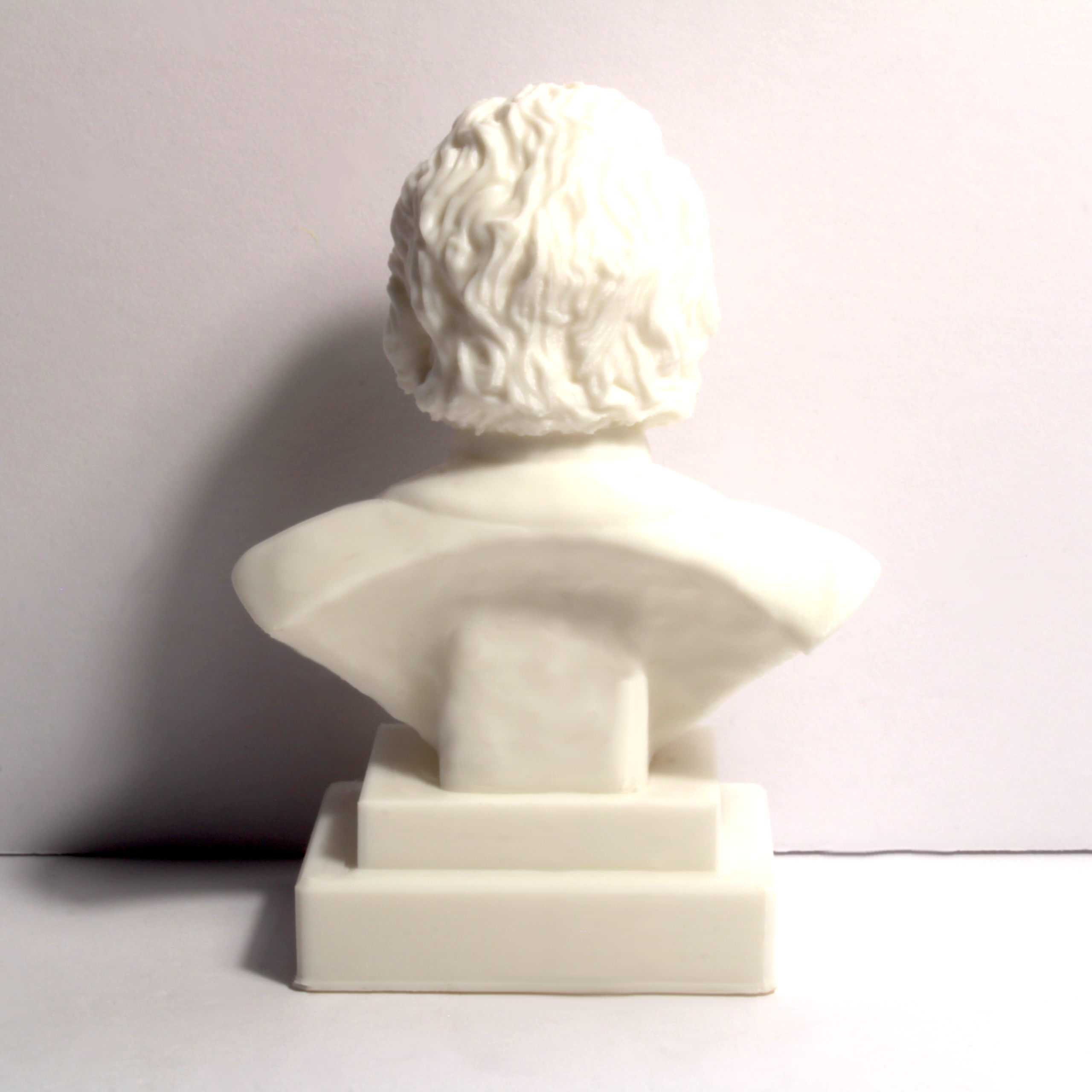 Albert Einstein Bust - 4 Inches - Image 3