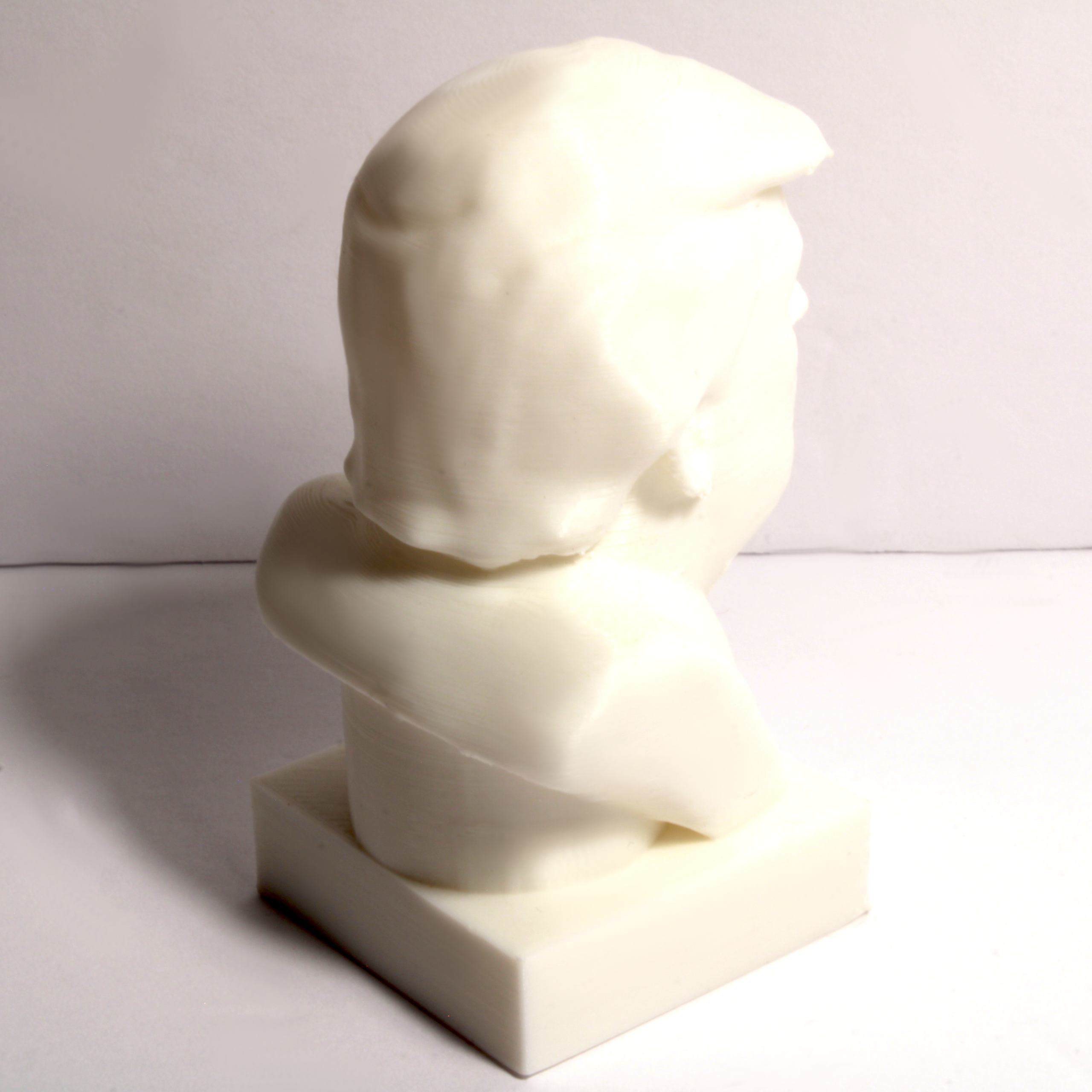 Donald Trump Bust - 4 Inches - Image 4