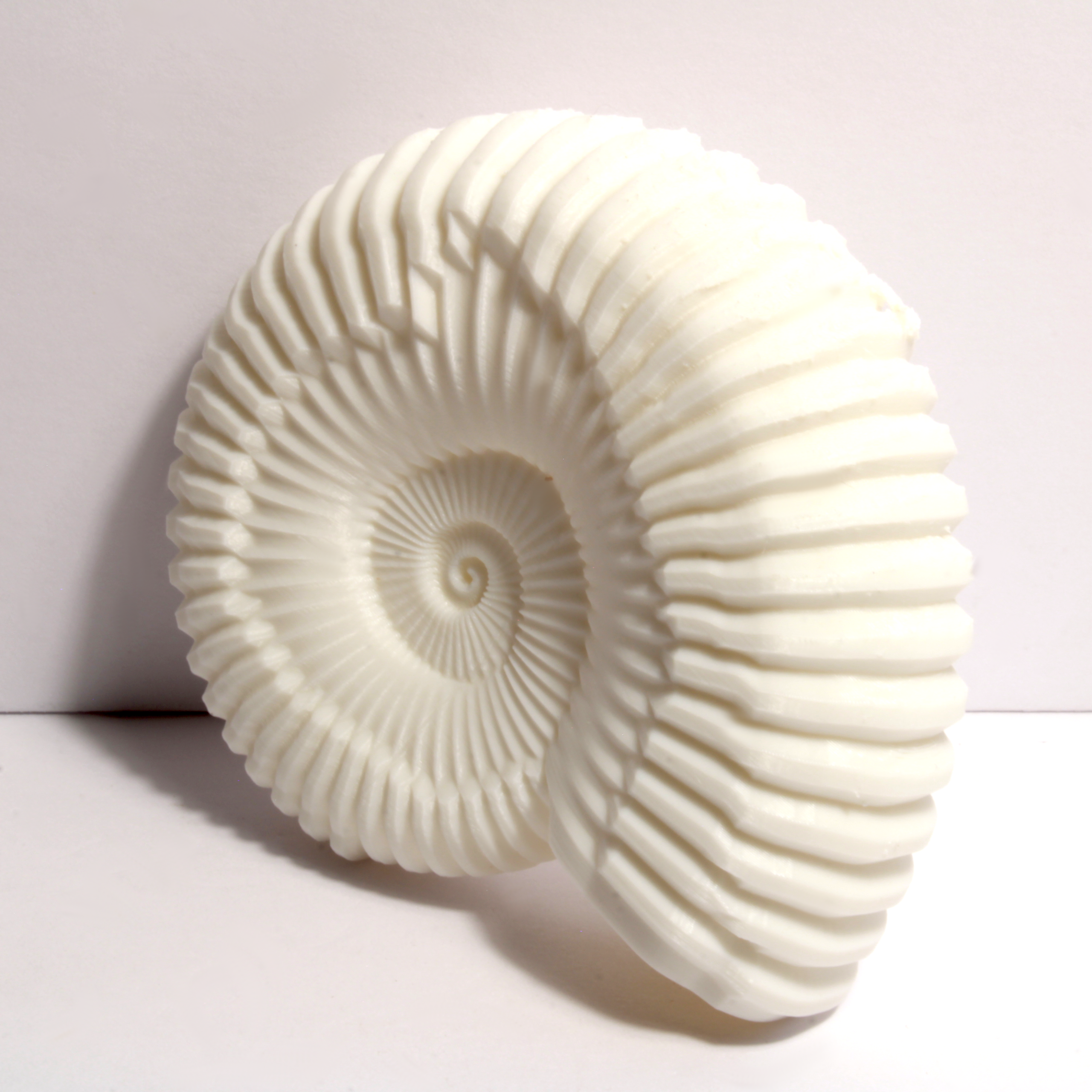 Ammonite Shell Replica – 6 Inches - Image 4