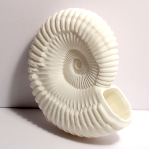 Ammonite Shell Replica – 6 Inches